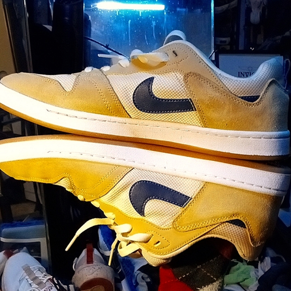 Nike SB "alleyoop"